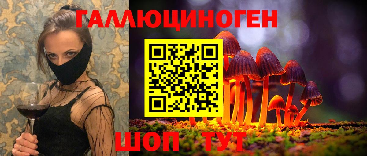 Псилоцибиновые грибы Psilocybine cubensis Десногорск